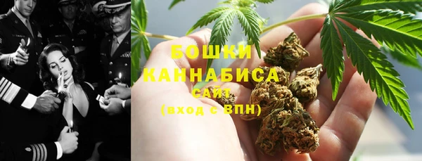 индика Аркадак