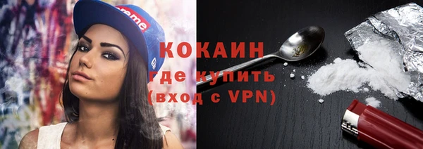 стаф Арсеньев