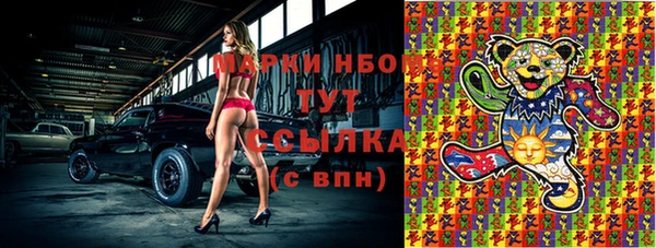 индика Аркадак