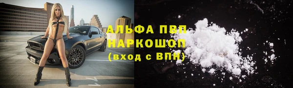 индика Аркадак