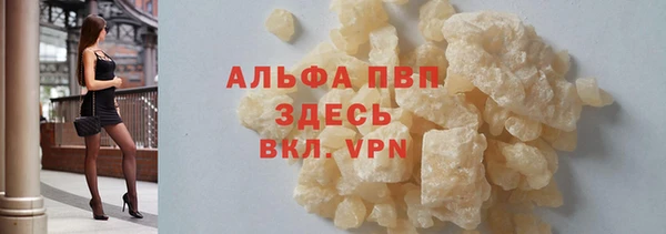 индика Аркадак