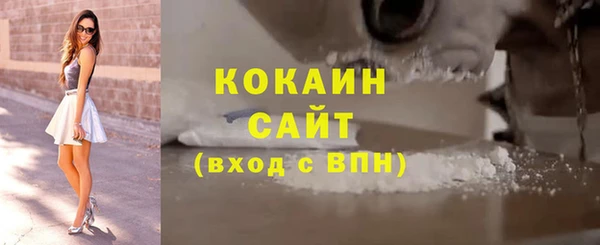 стаф Арсеньев