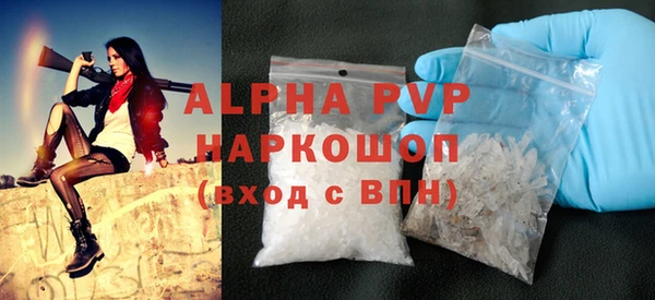 индика Аркадак