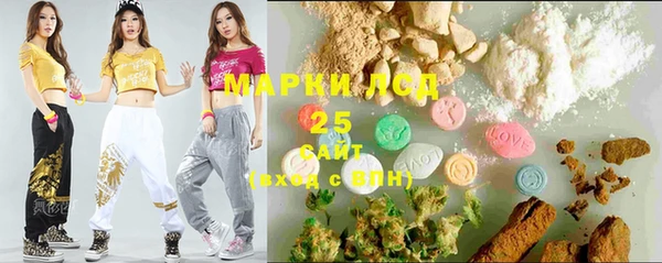 стаф Арсеньев
