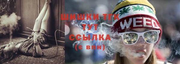 стаф Арсеньев