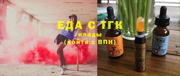 индика Аркадак