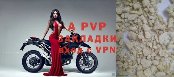 стаф Арсеньев