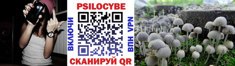 Галлюциногенные грибы Psilocybine cubensis  Купить закладки  Фролово 